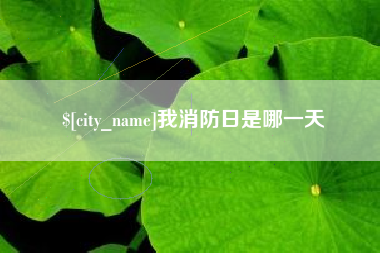 上海我消防日是哪一天