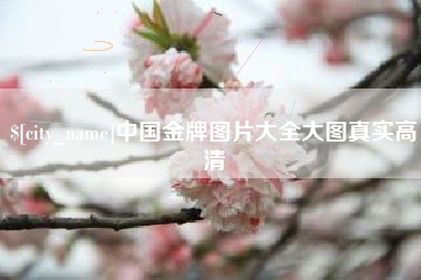 上海中国金牌图片大全大图真实高清