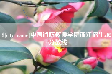 上海中国消防救援学院浙江招生2020分数线