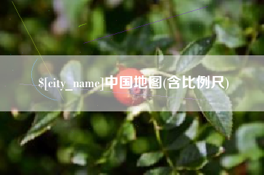 上海中国地图(含比例尺)