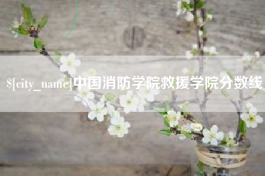 上海中国消防学院救援学院分数线