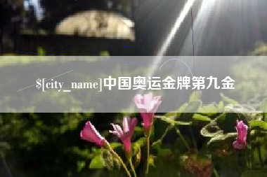 上海中国奥运金牌第九金