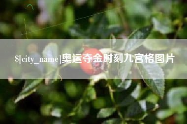 上海奥运夺金时刻九宫格图片