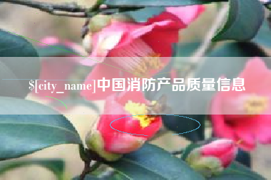 上海中国消防产品质量信息