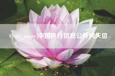 上海中国执行信息公开网失信