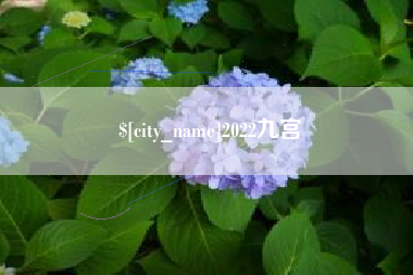 上海2022九宫