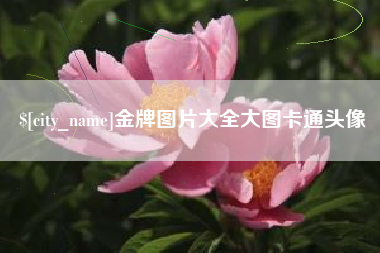 上海金牌图片大全大图卡通头像